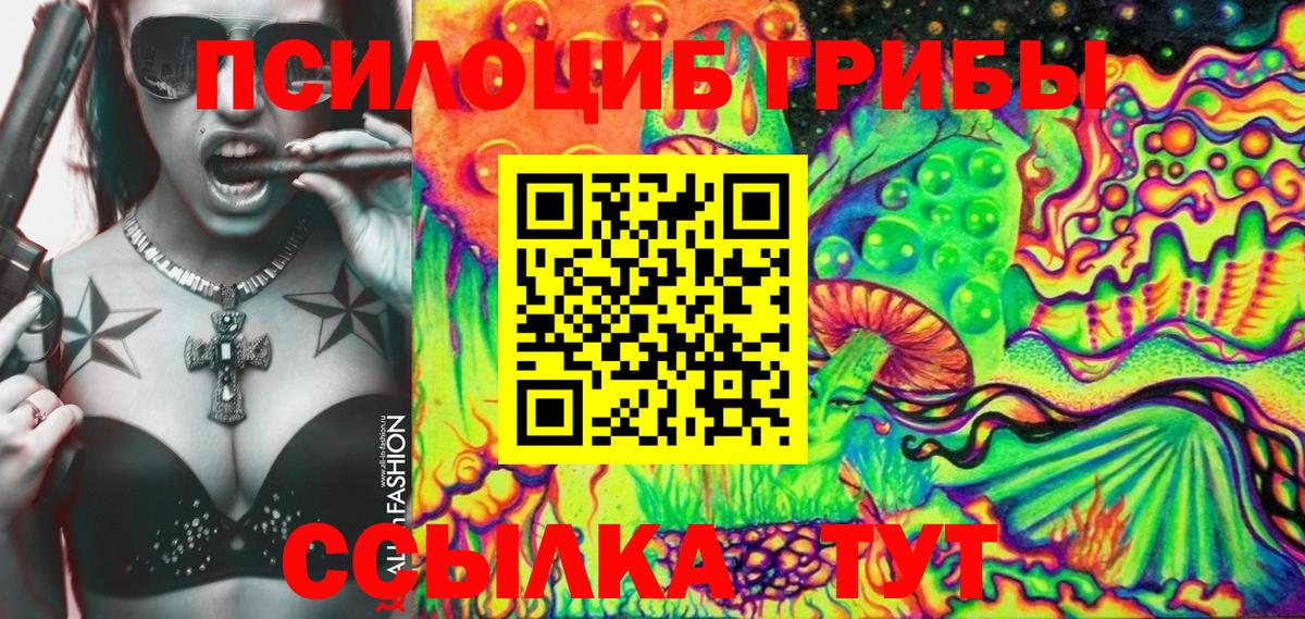 Псилоцибиновые грибы Psilocybine cubensis  наркошоп  Галлюциногенные грибы MAGIC MUSHROOMS  Бутурлиновка  Вход с VPN 